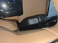 Wuling Starlight 730 New Energy PHEV 125km Luxury - ფოტო 13