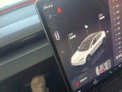 Tesla Model 3 High Performance All-Wheel Drive - ფოტო 13