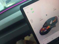 Tesla Model 3 Rear-Wheel Drive - ფოტო 13