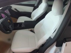 Tesla Model 3 Rear-Wheel Drive - ფოტო 14