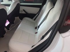 Tesla Model 3 Rear-Wheel Drive - ფოტო 16