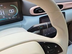 Leapmotor Leapo T03 310 Comfort Edition - ფოტო 13