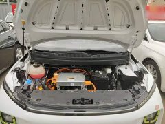 Geely Geometry E Firefly 2022 401KM Linglong Tiger 4-Seater - ფოტო 15