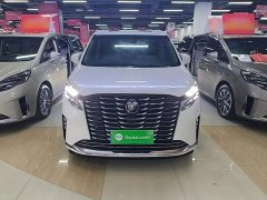 Buick GL8 ES Luxe Enjoyment Edition - ფოტო 2