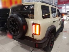 Tank 300 2.0T Gasoline Conqueror - ფოტო 6