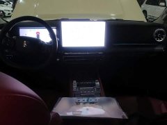 Tank 300 2.0T Gasoline Conqueror - ფოტო 9