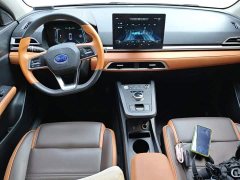 BYD e2 2020 Upgrade Edition Standard Range Comfort - ფოტო 12