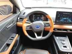 BYD e2 2020 Upgrade Edition Standard Range Comfort - ფოტო 2
