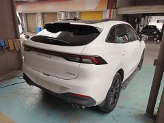 Dongfeng Fenxing T5 EVO 1.5T DCT Diamond Edition - ფოტო 6