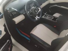 BYD Yuan Plus 510KM Respect and Honor Edition - ფოტო 15