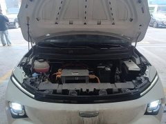 Geely Geometry E Firefly 2024 301km Aurora - ფოტო 19