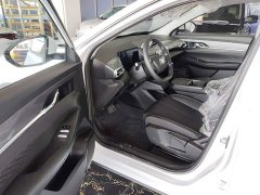 Dongfeng SKY EV01 2025 530km AIR Elite Edition - ფოტო 15