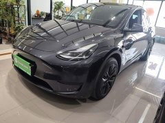 Tesla Model Y Rear-Wheel Drive - ფოტო 1