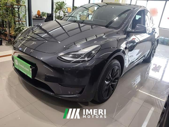 Tesla Model Y Rear-Wheel Drive