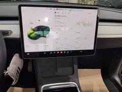 Tesla Model Y Rear-Wheel Drive - ფოტო 12