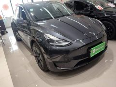 Tesla Model Y Rear-Wheel Drive - ფოტო 3