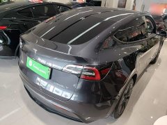 Tesla Model Y Rear-Wheel Drive - ფოტო 6