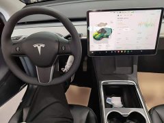 Tesla Model Y Rear-Wheel Drive - ფოტო 9