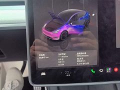 Tesla Model Y High Performance All-Wheel Drive - ფოტო 11