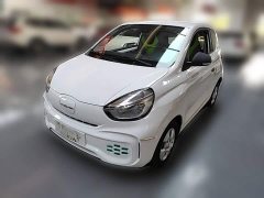 SAIC Corey Wei CLEVER 302km New Four-Seat Super Version - ფოტო 1