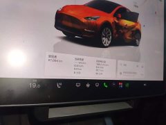 Tesla Model Y Long Range All-Wheel Drive - ფოტო 11
