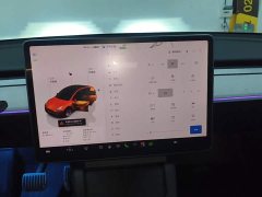 Tesla Model Y Long Range All-Wheel Drive - ფოტო 12