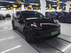 Tesla Model Y Long Range All-Wheel Drive - ფოტო 3