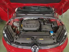 Volkswagen Lingdu 2026 Lingdu L GTS 380TSI Lingfeng Million Anniversary Edition - ფოტო 19
