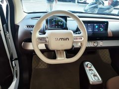 Changan Lumin 2026 Treasure Edition 205km Cool Love White CATL - ფოტო 10