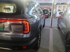 Great Wall Dachshund 2026 1.5T DCT Border Collie Edition - ფოტო 7