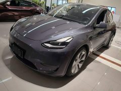 Tesla Model Y Long Range All-Wheel Drive - ფოტო 1