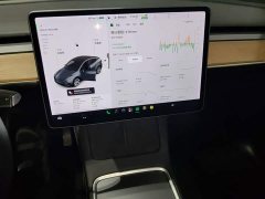 Tesla Model Y Long Range All-Wheel Drive - ფოტო 8