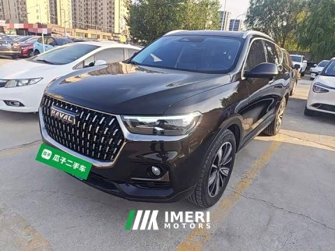 2024 Haval H6 2023 National Trend Edition 1.5T Automatic Champion Version - ავტომობილი ჩინეთიდან
