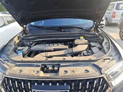 Haval H6 2023 National Trend Edition 1.5T Automatic Champion Version - ფოტო 19