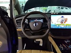 Denza BYD Denza D9 2022 DM-i 1040 Premium - ფოტო 10