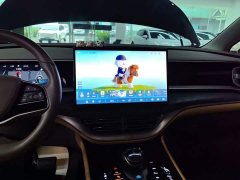 Denza BYD Denza D9 2022 DM-i 1040 Premium - ფოტო 12