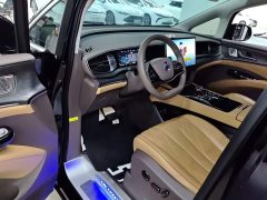 Denza BYD Denza D9 2022 DM-i 1040 Premium - ფოტო 15