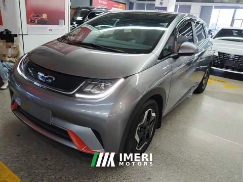 2022 BYD Dolphin 405km Fashion Edition