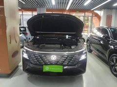 Changan CS75 PLUS 4th Gen UItra 2.0T New Blue Whale Smart Dynamic Power Edition - ფოტო 19