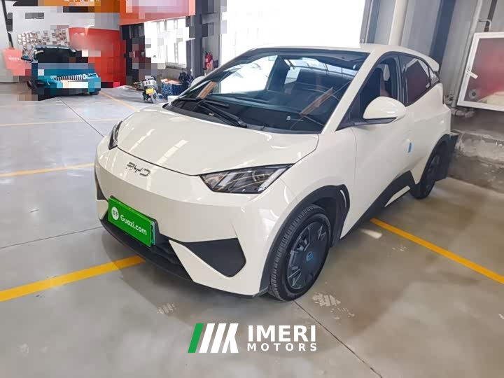 BYD Seagull Smart Drive 305km Vitality Edition - ავტომობილი ჩინეთიდან