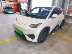 BYD Seagull Smart Drive 305km Vitality Edition - ფოტო 1