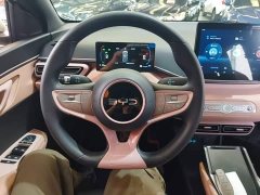 BYD Seagull Smart Drive 305km Vitality Edition - ფოტო 10
