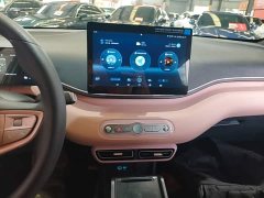 BYD Seagull Smart Drive 305km Vitality Edition - ფოტო 12