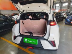 BYD Seagull Smart Drive 305km Vitality Edition - ფოტო 18