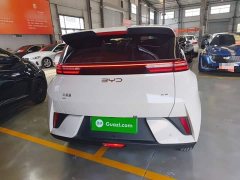 BYD Seagull Smart Drive 305km Vitality Edition - ფოტო 5