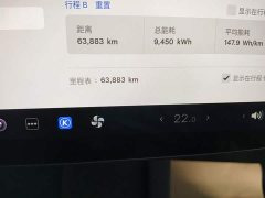 Tesla Model Y Rear-Wheel Drive - ფოტო 11