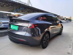 Tesla Model Y Rear-Wheel Drive - ფოტო 6