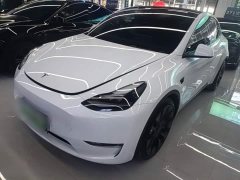 Tesla Model Y 2022 Performance All-Wheel Drive - ფოტო 1