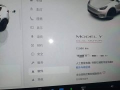 Tesla Model Y 2022 Performance All-Wheel Drive - ფოტო 11