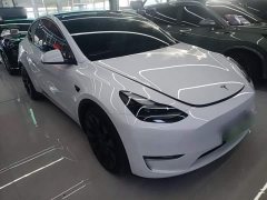 Tesla Model Y 2022 Performance All-Wheel Drive - ფოტო 3